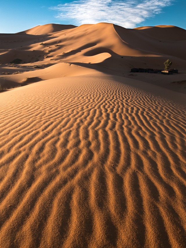 vertical-shot-patterns-beautiful-sand-dunes-desert (1)