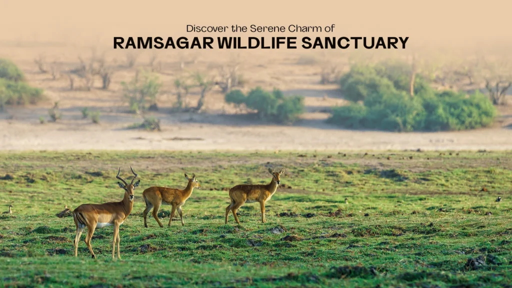 ram sagar wildlife sanctuary