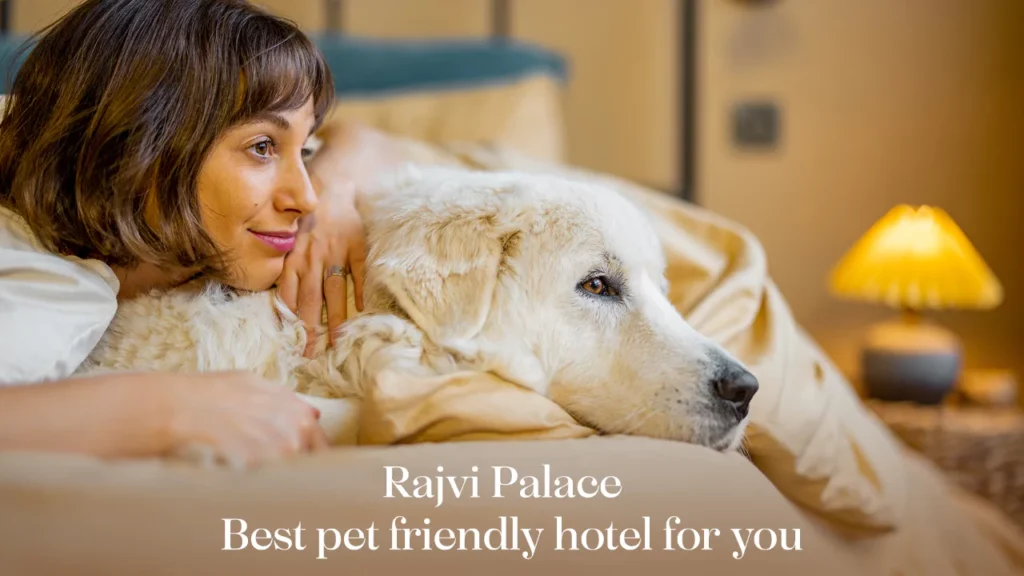 pet friendly hotels