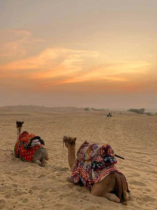Top 7 Must-Visit Tourist Places in Rajasthan for a Royal Getaway!