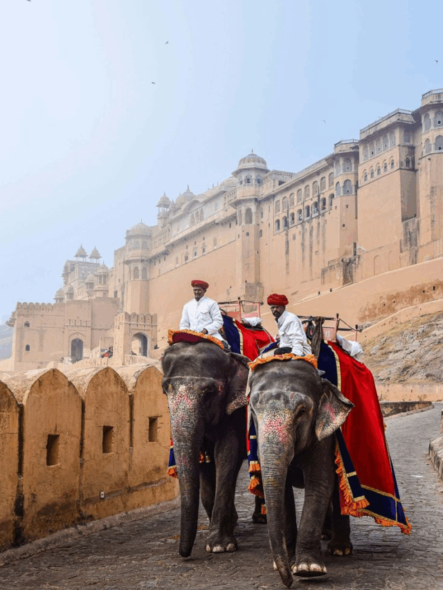 Royal Places in Rajasthan Your Kids Will Love | Family Travel Guide