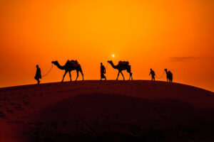 Best Time to Visit Rajasthan by month