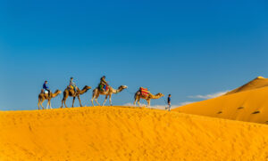 Golden Desert of Jaisalmer