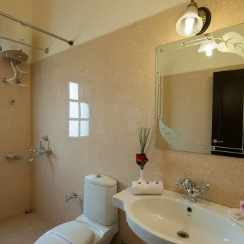 Standard room bathroom